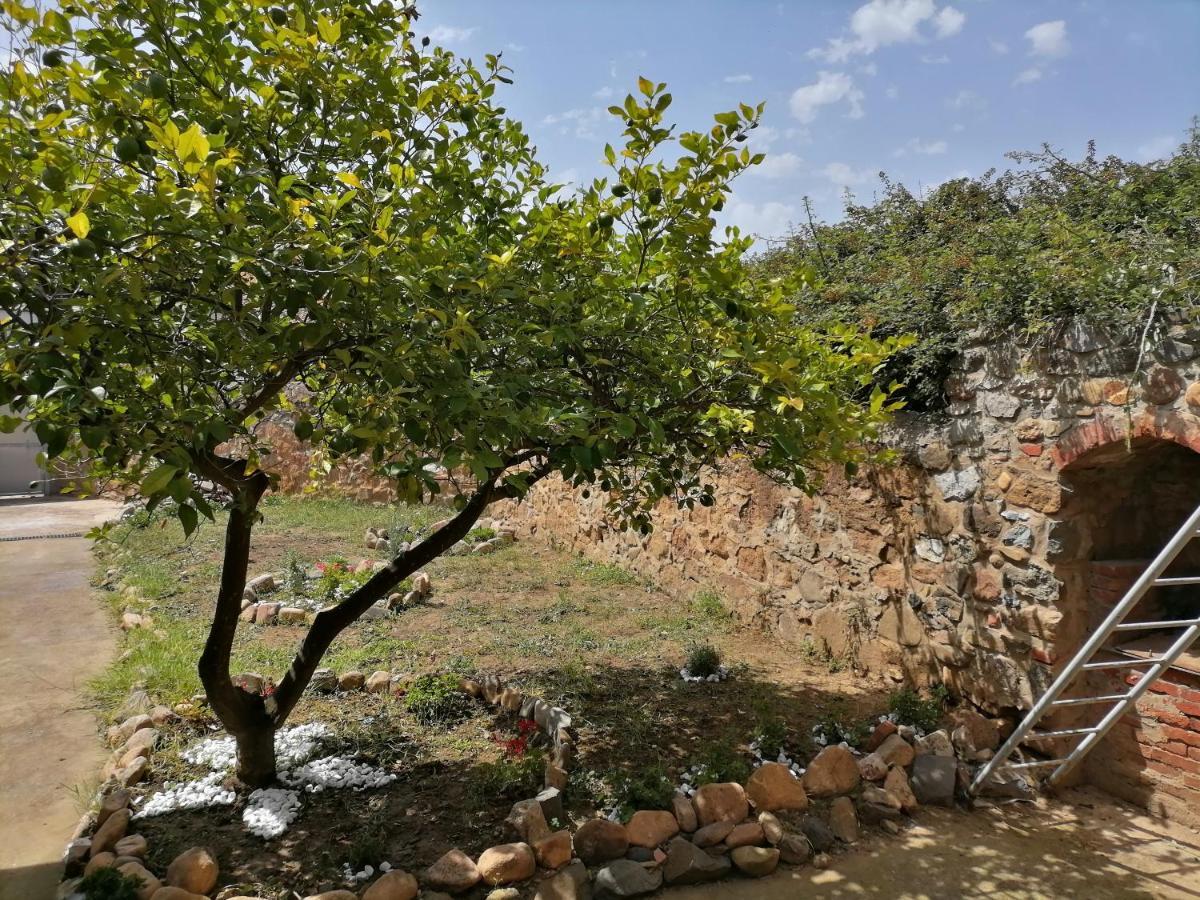 Vila Casa Di Stefano Villamassargia Exteriér fotografie